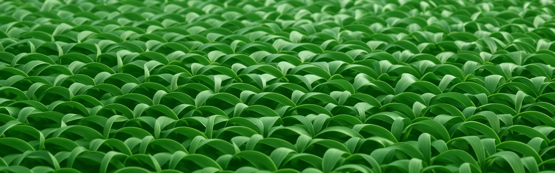 Bio-Grid Pattern